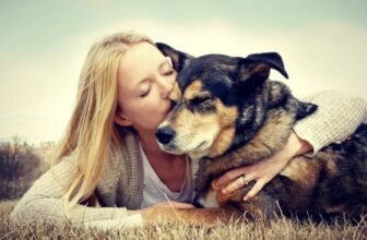 FETCH DFW: Woman’s Best Friend